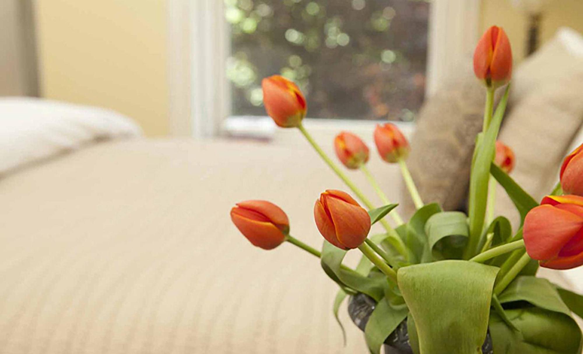 Morgan State House Inn Олбани Номер фото